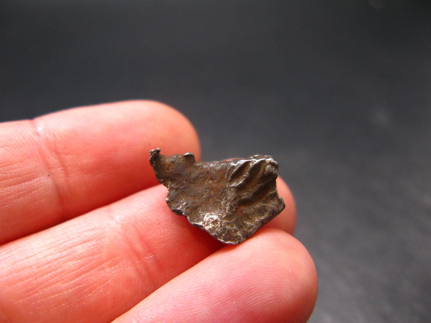 Sikhote Alin Meteorite From Russia - 2.60 Grams - 0.6"