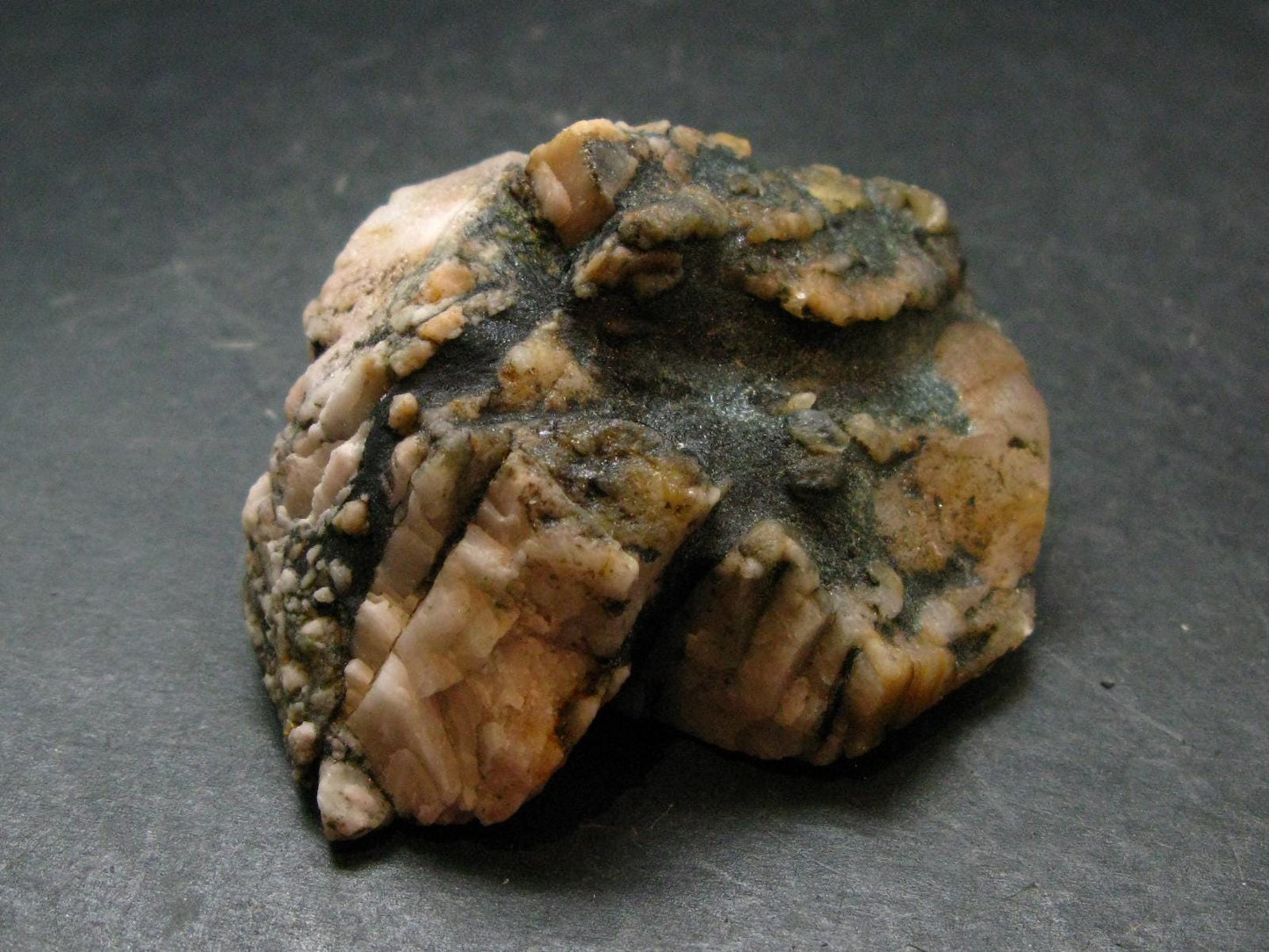 Phenakite Phenacite Crystal From Brazil - 2.5" - 126.64 Grams