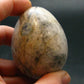 Blue Kyanite Egg From Brazil - 2.1"