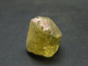 Large Gem Golden Apatite Crystal From Mexico - 0.4" - 7.92 Grams