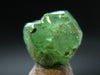 Gem Tsavorite Tsavolite Garnet Crystal From Tanzania - 9.02 Carats - 0.4"