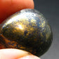 Covelite Covellite Tumbled Stone From Peru - 1.0" - 22.48 Grams