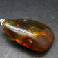 Natural Insects in Baltic Amber 925 Silver Pendant from Poland - 1.8" - 5.43 Grams