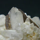Large Brookite On Quartz Cluster From Pakistan - 75.26 Grams - 2.6"