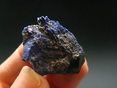 Azurite Fine Crystal Cluster From Mexico - 1.0"