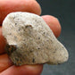 A Perfect Staurolite Crystal on Matrix from Russia - 1.5" - 10.91 Grams