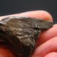Sikhote Alin Meteorite From Russia - 27.97 Grams - 1.6"