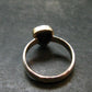 Ammolite Amolite Sterling Silver Ring From Canada - 2.48 Grams - Size 6