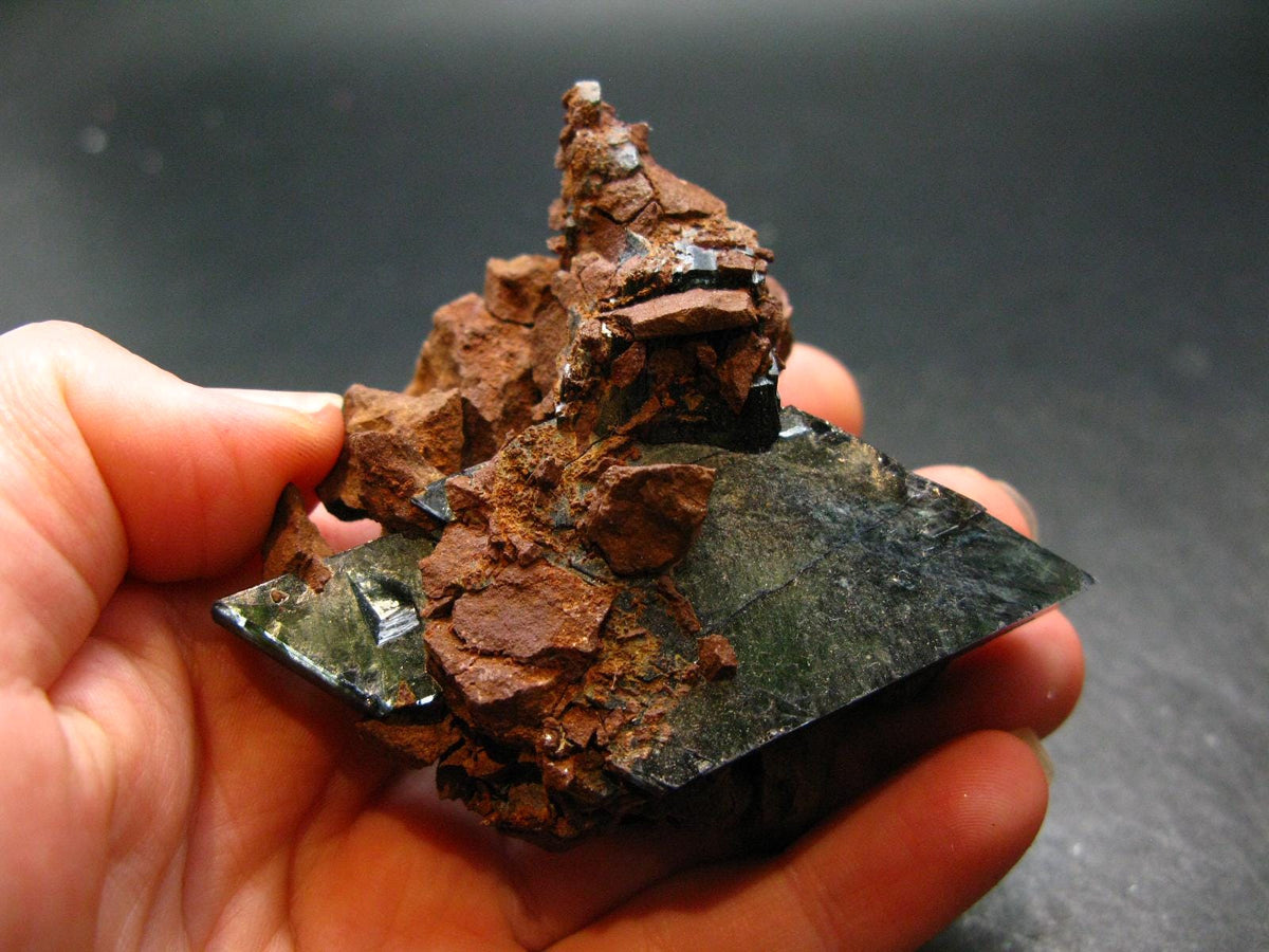 Vivianite Crystal From Bolivia - 2.5"
