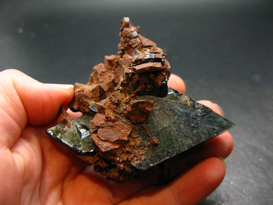 Vivianite Crystal From Bolivia - 2.5"