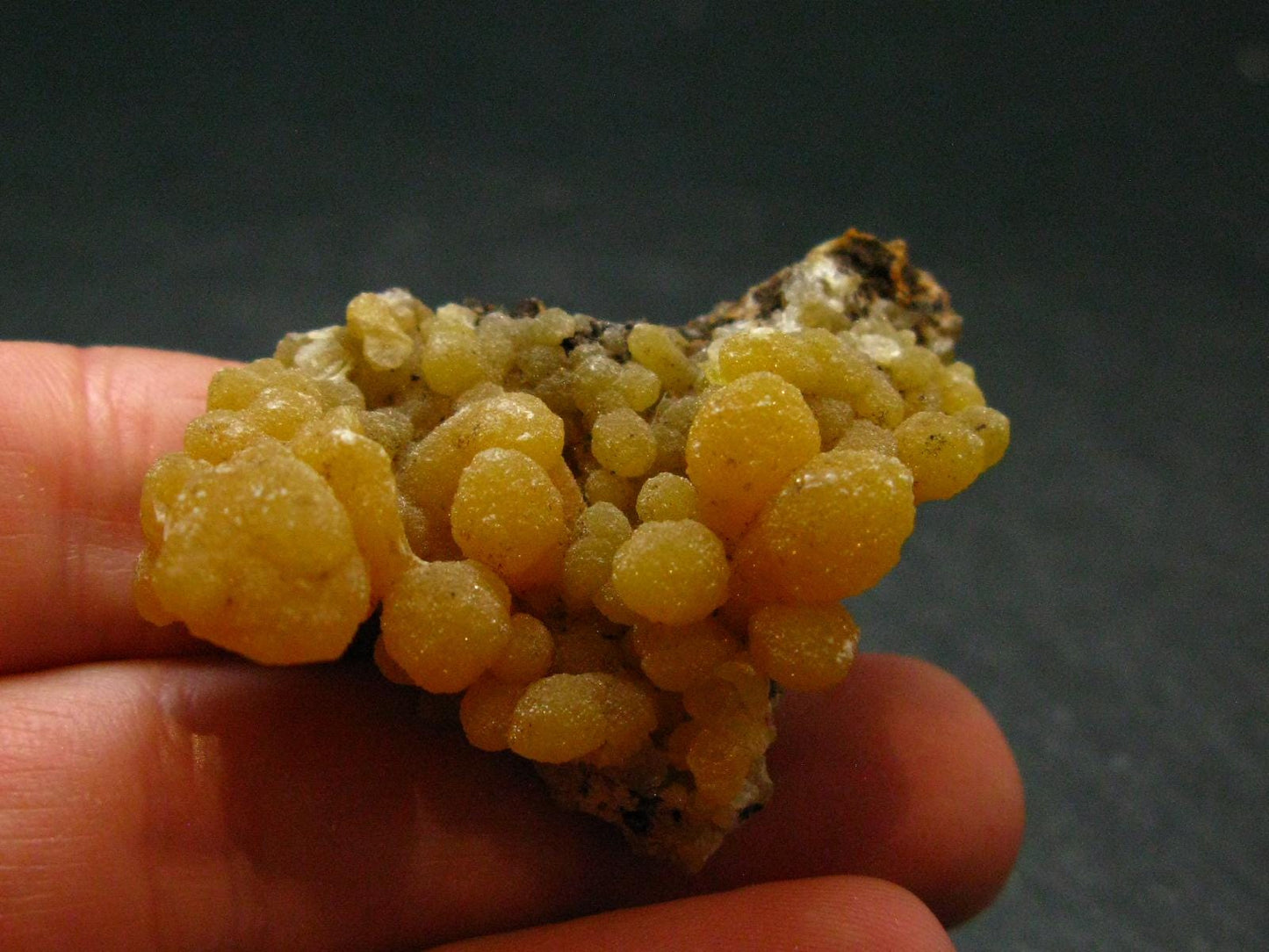 Nice Large Yellow Mimetite Cluster from Mexico - 1.7"