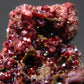 Rare Gem Proustite Cluster From Morocco - 1.4" - 12.42 Grams