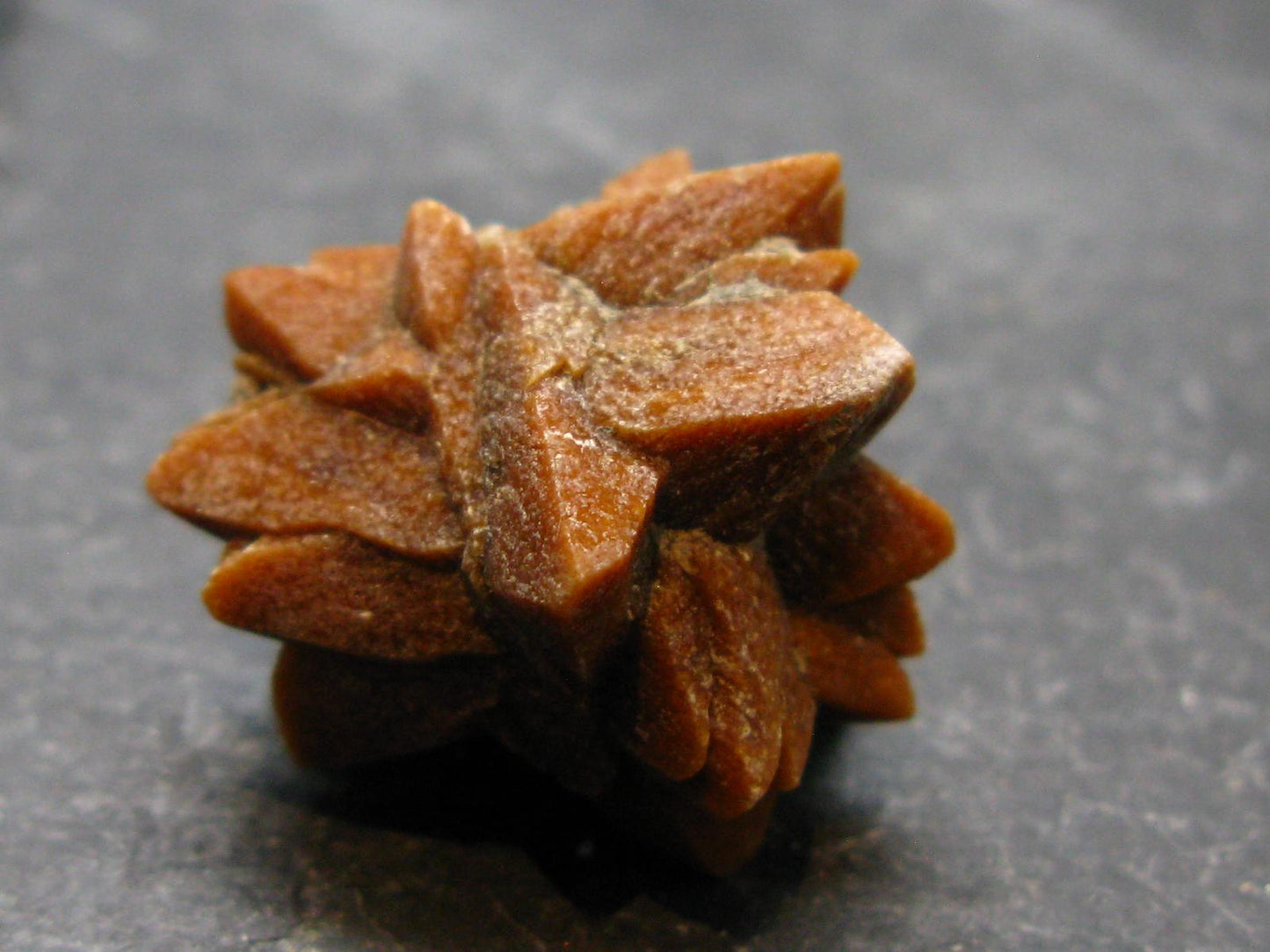 Glendonite (Ikaite after Calcite) Crystal From Russia - 1.0" - 10.18 Grams