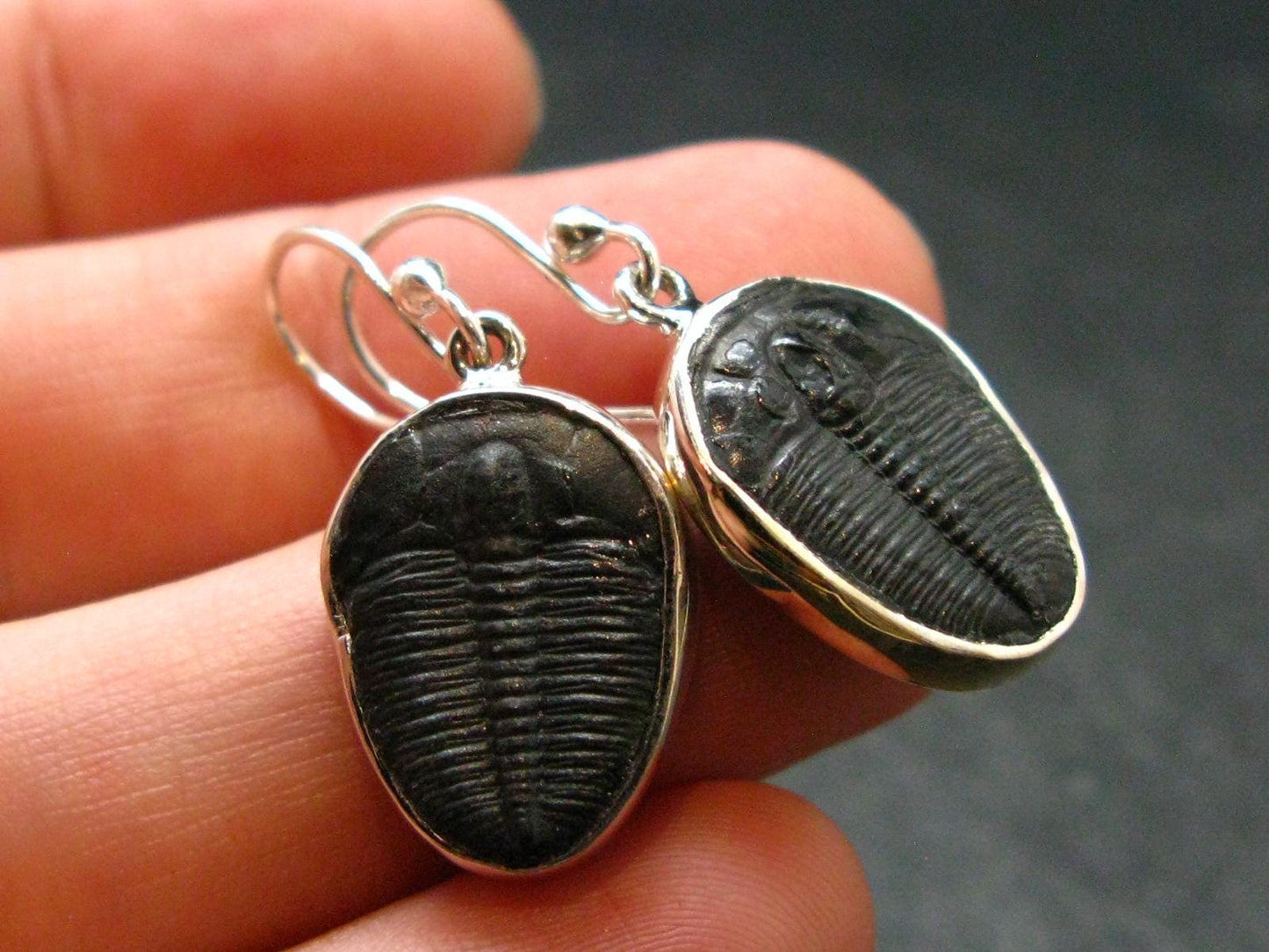 Trilobite Silver Earrings from USA - 1.3" - 3.68 Grams