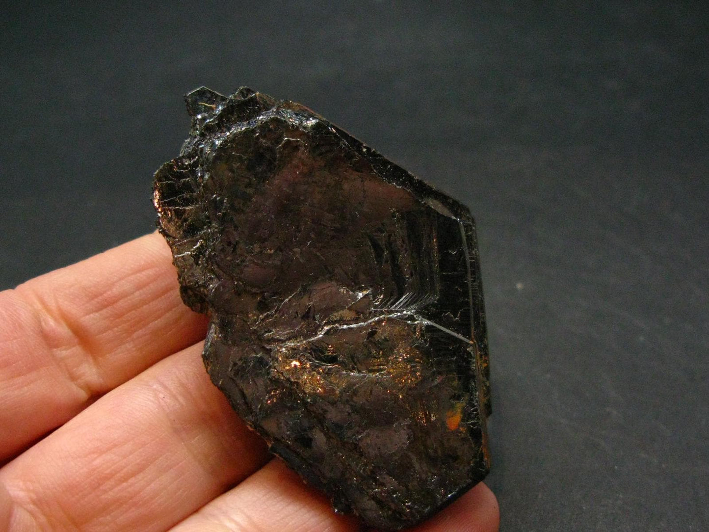 Large Hematite "Iron Rose" from Brazil - 2.1" - 55.27 Grams