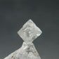Gem Genuine Diamond Crystal From Congo - 0.59 Carats