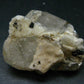 Natural Large Peach Topaz Crystal From Pakistan - 2.0" - 64.03 Grams