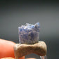 Fine Rare Carletonite Crystal From Mt. St. Hilaire Canada - 0.4" - 0.69 Grams