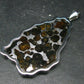 Brahin Meteorite Slice With Olivine Pallasite Pendant from Belarus - 1.4" - 21.54 Grams