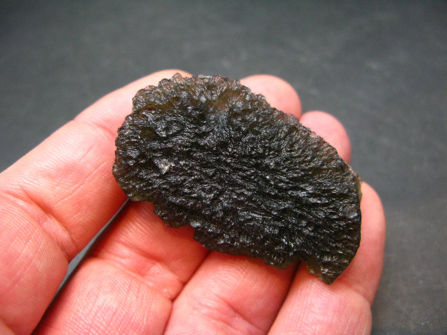 HUGE Moldavite Tektite From Czech Republic - 1.9" - 112.05 Carats 22.41 Grams