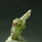 Very Rare Phosphophyllite Crystal From Bolivia - 0.5" - 0.34 Grams