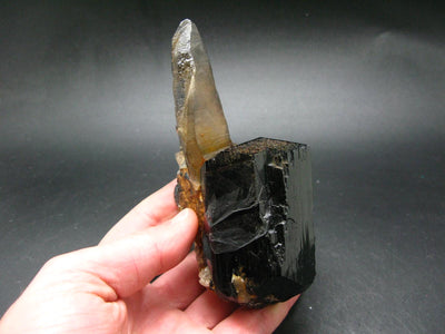 Fine Black Tourmaline and Smoky Quartz Crystal From Namibia - 5.3"