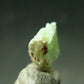Very Rare Phosphophyllite Crystal From Bolivia - 0.4" - 0.48 Grams