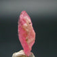 Rhodochrosite Gem Crystal From Colorado - 4.30 Carats - 0.5"