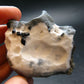Neptunite on Natrolite Cluster From California - 2.3"
