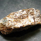 Astrophylite Astrophyllite Cluster From Russia - 3.1" - 59.64 Grams