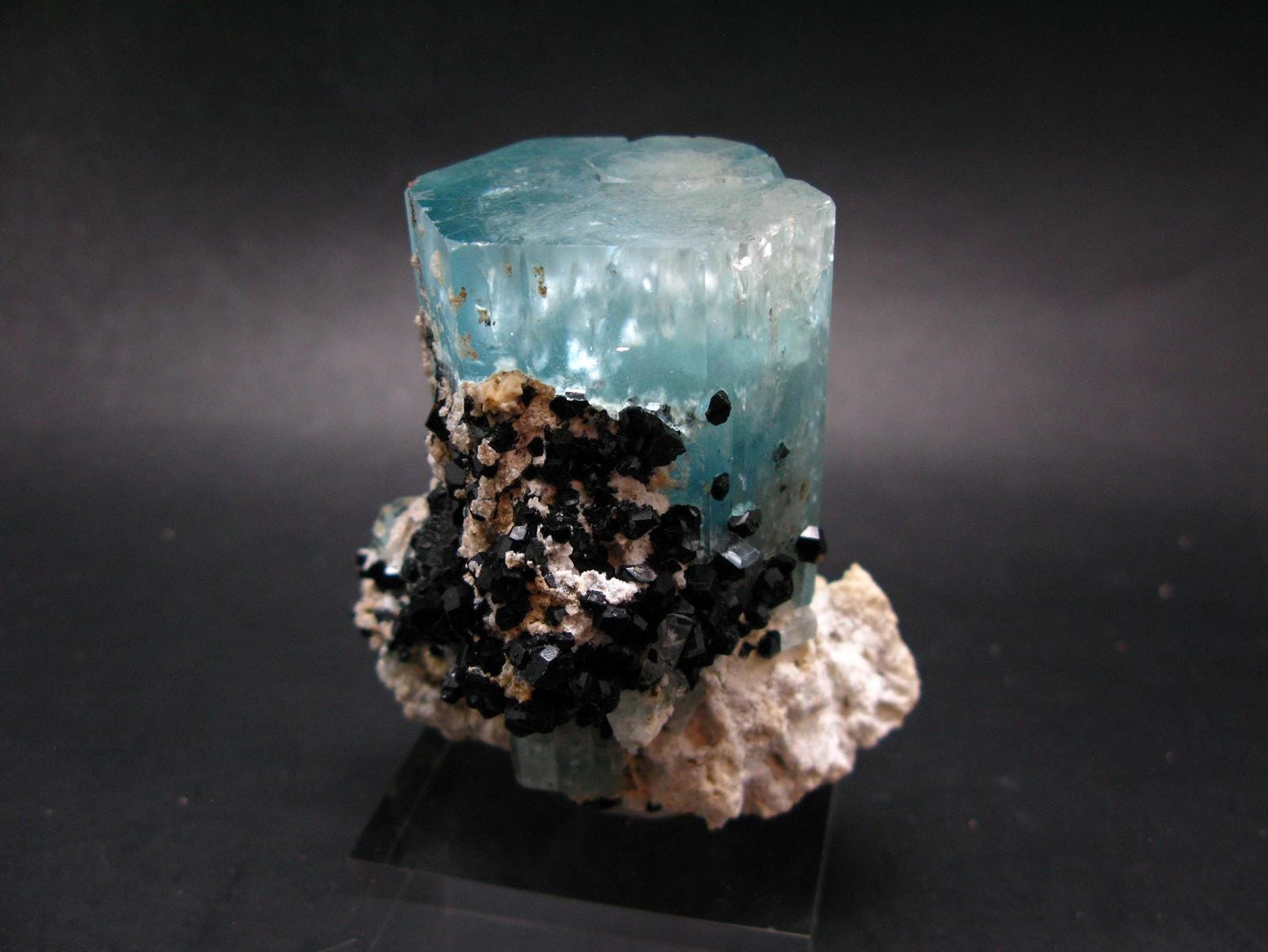 Big Aquamarine & Black Tourmaline Crystal From Erongo Namibia - 3.3"