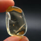 Bytownite Golden Labradorite Tumbled Stone From Mexico - 1.1" - 64.05 Carats