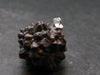 Very Rare Z-Stone (Limonite after Marcasite) Silver Pendant from Sahara Dessert, Egypt - 1.2" - 15.80 Grams