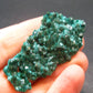 Very Nice Dioptase Cluster from Congo - 2.0" - 8.07 Grams