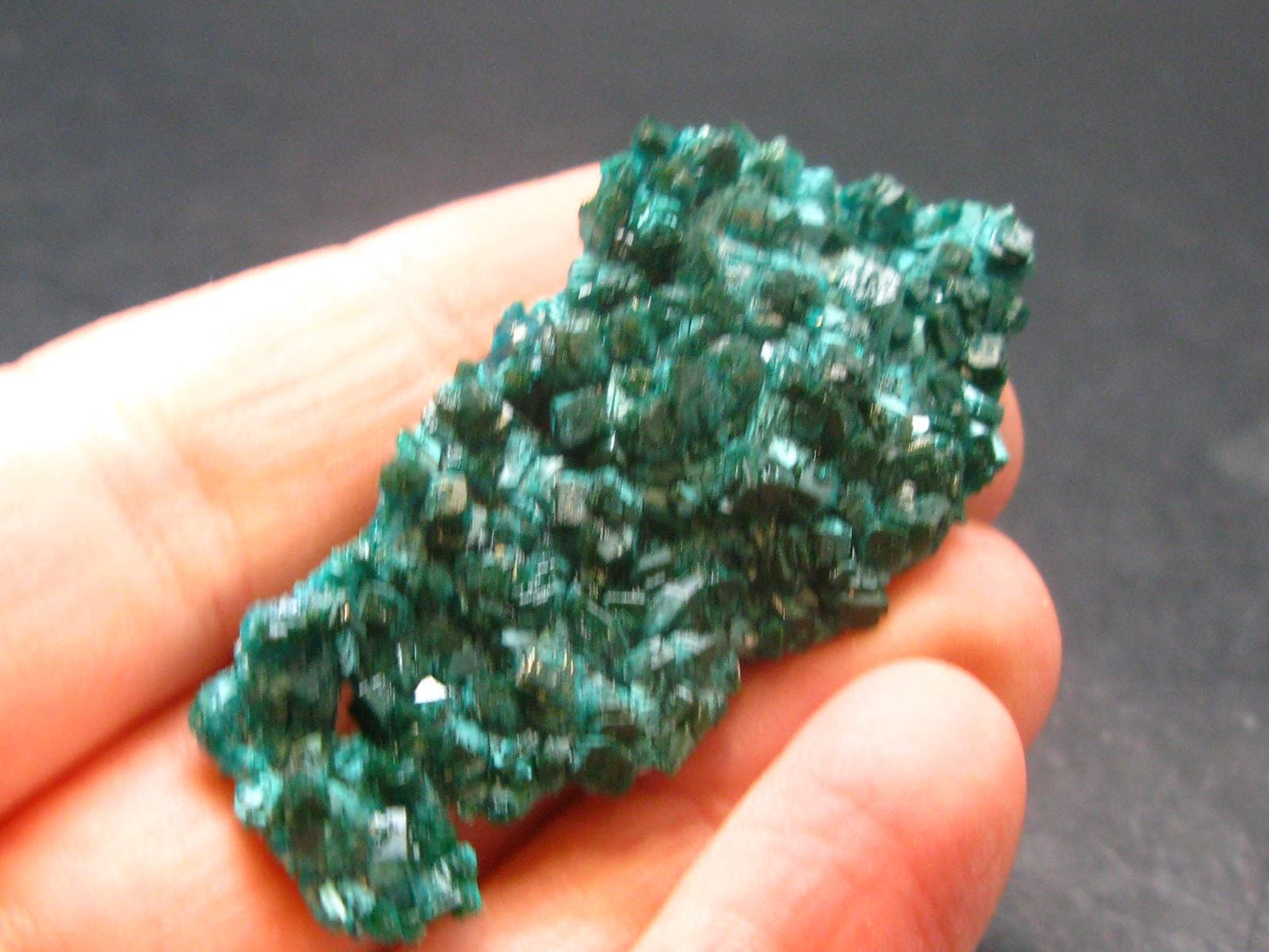 Very Nice Dioptase Cluster from Congo - 2.0" - 8.07 Grams