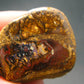 Rare Boulder Opal Piece from Australia - 1.3"