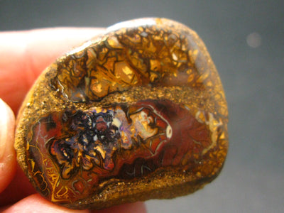 Rare Boulder Opal Piece from Australia - 1.3"