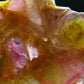 Stunning Tourmaline & Lepidolite in Quartz Slice From Russia - 3.3"