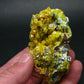 Nice Large Yellow Mimetite Cluster from Congo - 3.1"
