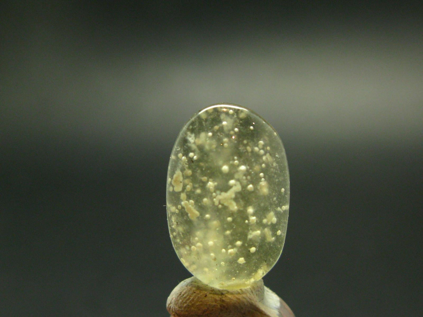 Nice Gem Libyan Tektite Cabochon From Libya - 2.55 Grams