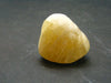 Agni Golden Danburite Tumbled Crystal From Tanzania - 0.9" - 14.15 Grams