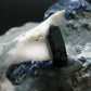 Benitoite and Neptunite on Natrolite Cluster From California - 1.5" - 10.35 Grams