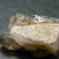 Large DT Elestial Quartz Crystal From Brazil - 1.5"