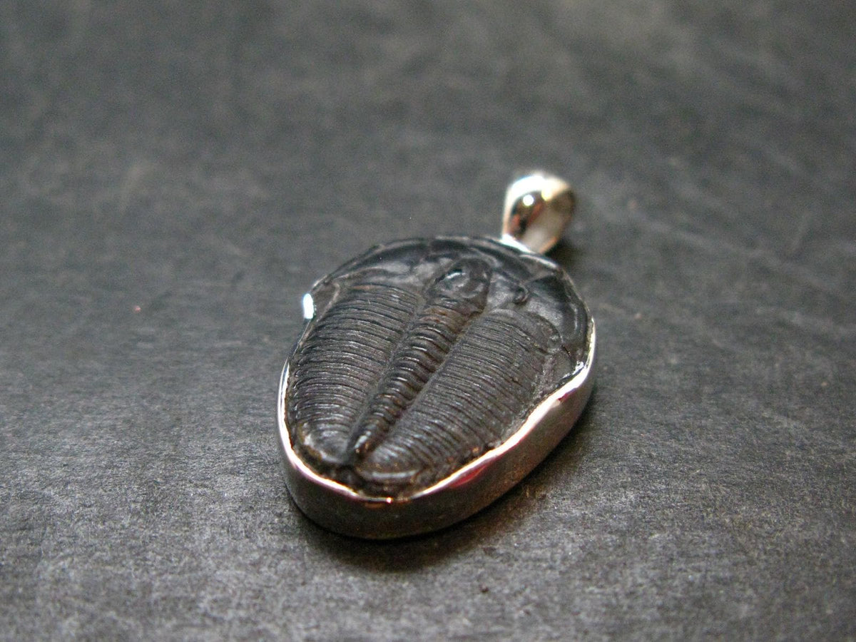Trilobite Silver Pendant from USA - 1.0" - 2.42 Grams