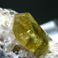 Museum Golden Apatite Cluster From Mexico - 2.2"