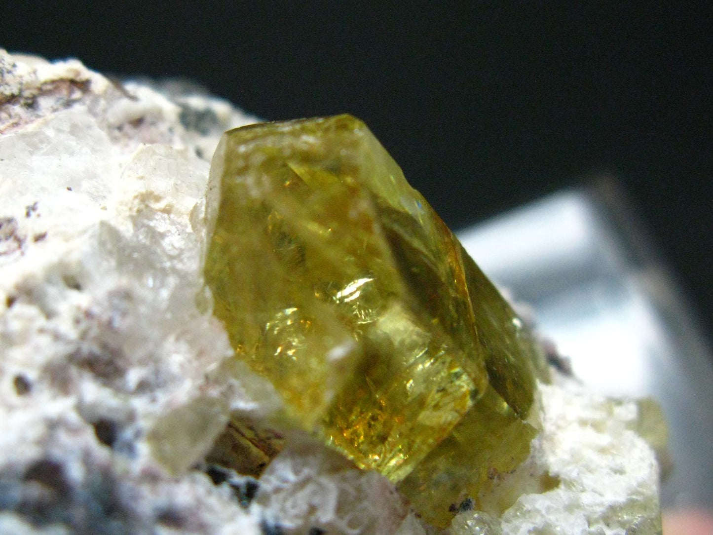 Museum Golden Apatite Cluster From Mexico - 2.2"