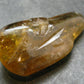 Nice Untreated Unheated Citrine Tumbled Stone from Zambia - 26.47 Grams - 2.0"