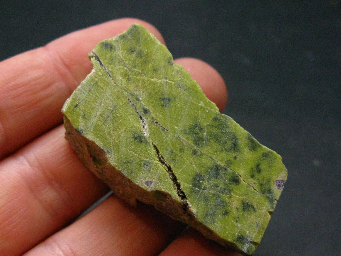 Rare Atlantasite Stichtite + Serpentine from Australia - 1.7"