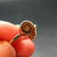 Natural Whole Polished Agatized Ammonite Cleoniceras Sterling Silver Ring from Madagascar - 1.79 Grams - Size 7