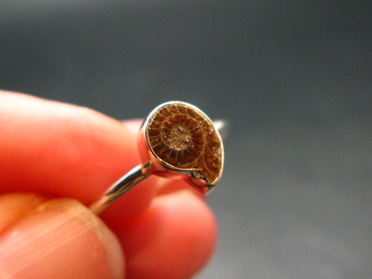 Natural Whole Polished Agatized Ammonite Cleoniceras Sterling Silver Ring from Madagascar - 1.79 Grams - Size 7
